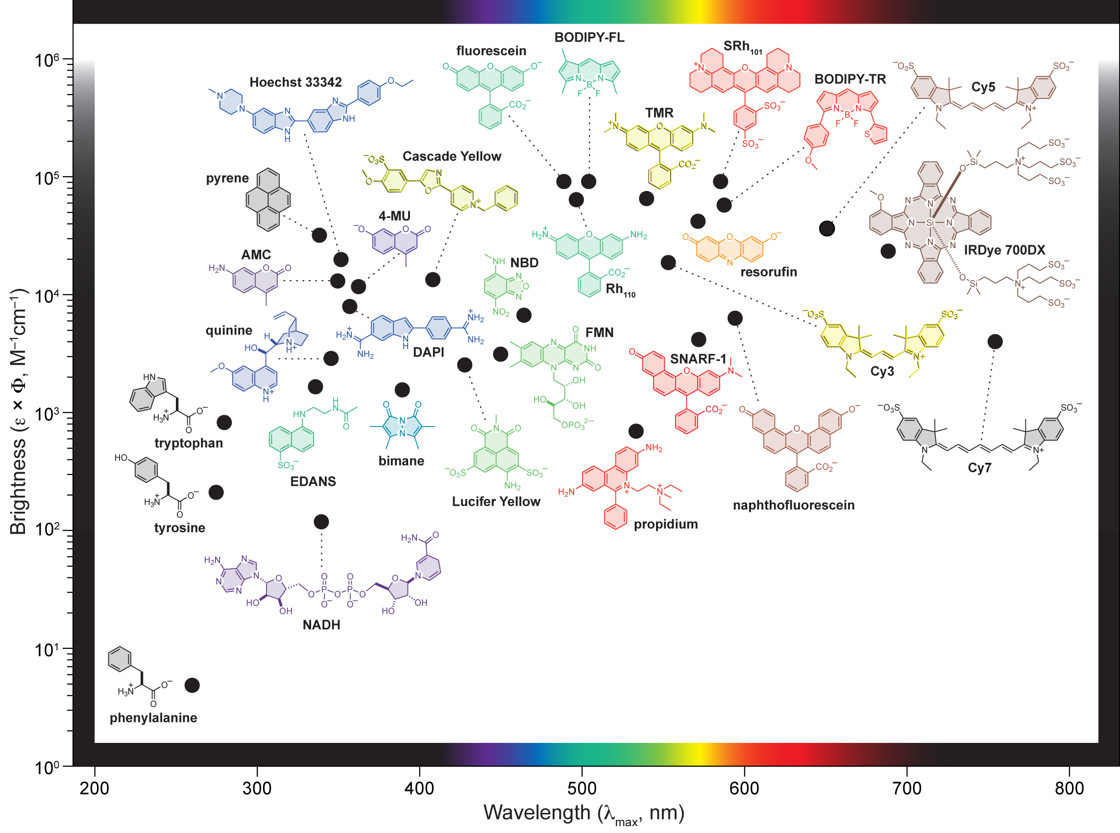Research Janelia Research Campus